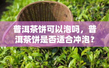 普洱茶饼可以泡吗，普洱茶饼是否适合冲泡？答案揭晓！