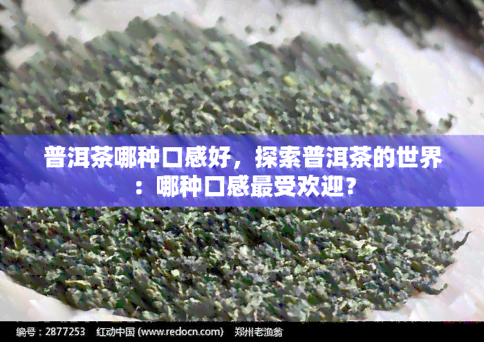 普洱茶哪种口感好，探索普洱茶的世界：哪种口感更受欢迎？