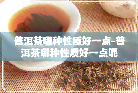 普洱茶哪种性质好一点-普洱茶哪种性质好一点呢