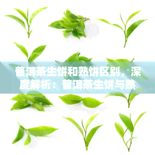 普洱茶生饼和熟饼区别，深度解析：普洱茶生饼与熟饼的五大区别