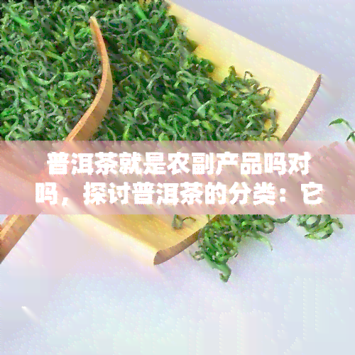 普洱茶就是农副产品吗对吗，探讨普洱茶的分类：它是农副产品吗？