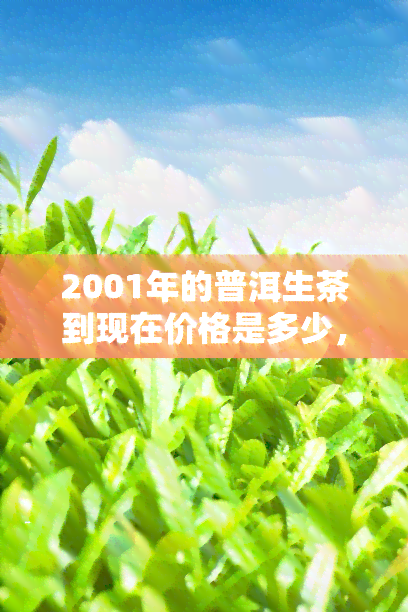 2001年的普洱生茶到现在价格是多少，从2001年至今，普洱生茶的价格涨跌如何？