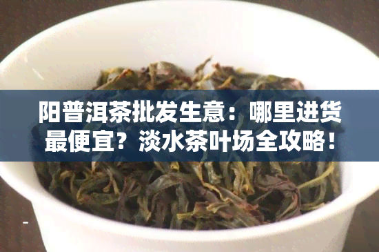 阳普洱茶批发生意：哪里进货更便宜？淡水茶叶场全攻略！