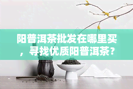 阳普洱茶批发在哪里买，寻找优质阳普洱茶？这里提供厂家直销的批发渠道！