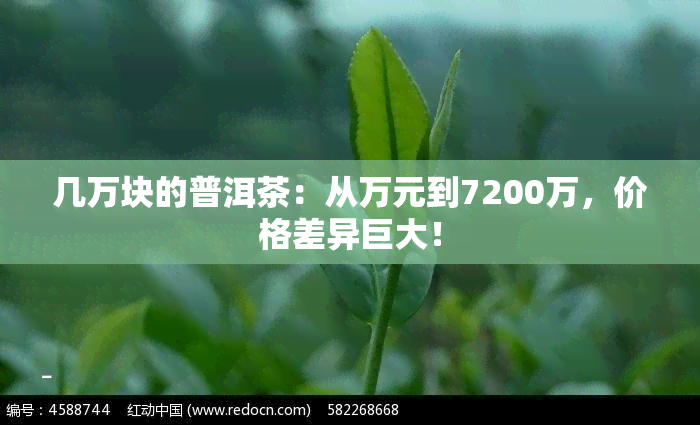 几万块的普洱茶：从万元到7200万，价格差异巨大！