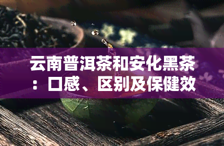 云南普洱茶和安化黑茶：口感、区别及保健效果比较