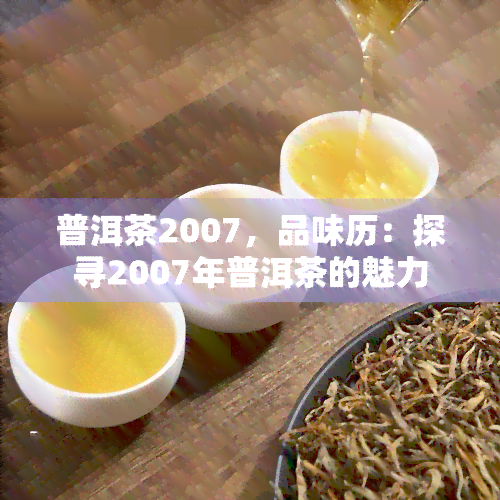 普洱茶2007，品味历：探寻2007年普洱茶的魅力