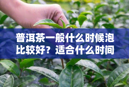 普洱茶一般什么时候泡比较好？适合什么时间饮用？冲泡时机是什么时候？