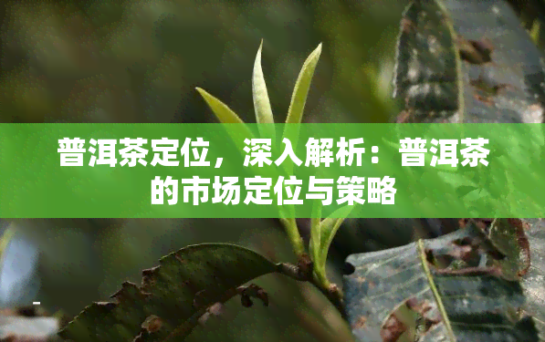 普洱茶定位，深入解析：普洱茶的市场定位与策略