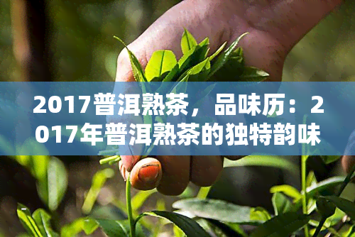 2017普洱熟茶，品味历：2017年普洱熟茶的独特韵味与风味