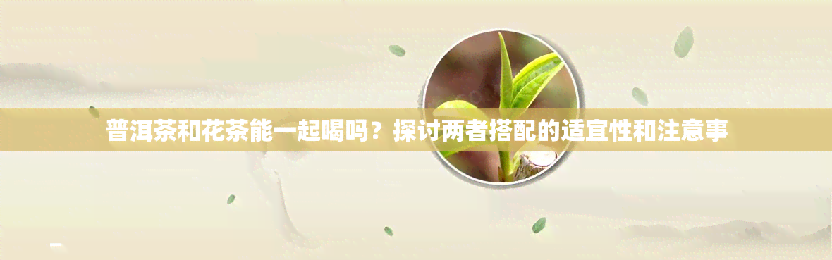 普洱茶和花茶能一起喝吗？探讨两者搭配的适宜性和注意事