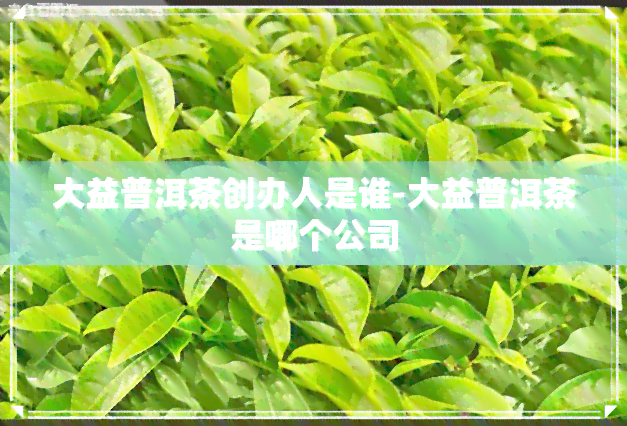 大益普洱茶创办人是谁-大益普洱茶是哪个公司