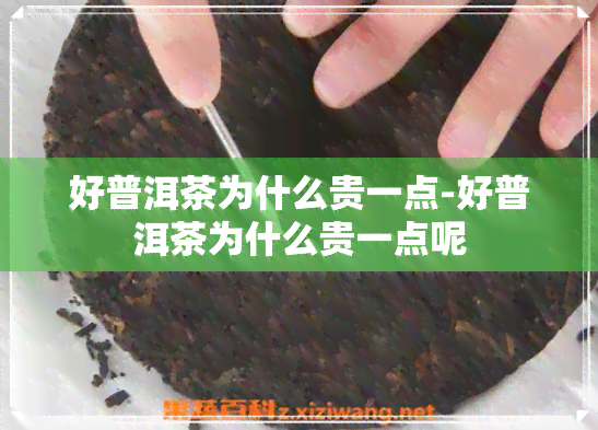 好普洱茶为什么贵一点-好普洱茶为什么贵一点呢