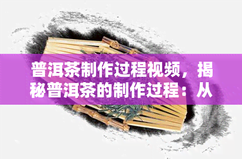 普洱茶制作过程视频，揭秘普洱茶的制作过程：从采摘到发酵，一探究竟！