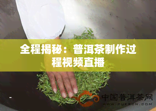 全程揭秘：普洱茶制作过程视频直播