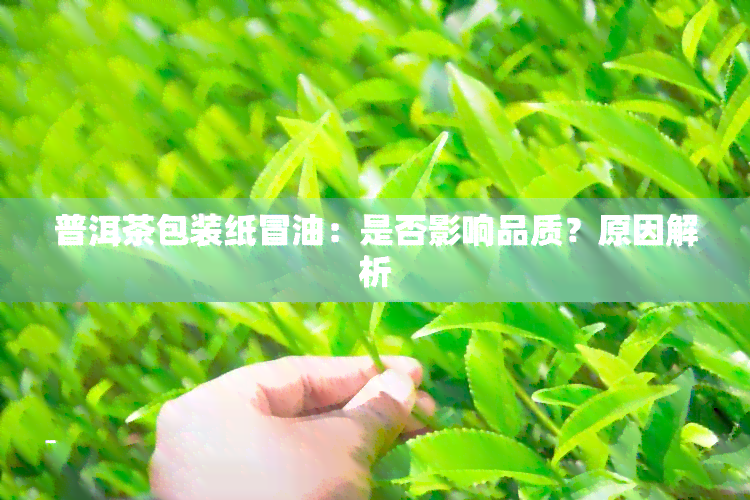 普洱茶包装纸冒油：是否影响品质？原因解析