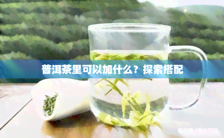 普洱茶里可以加什么？探索搭配