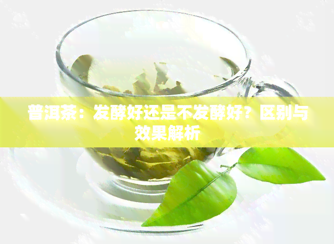 普洱茶：发酵好还是不发酵好？区别与效果解析