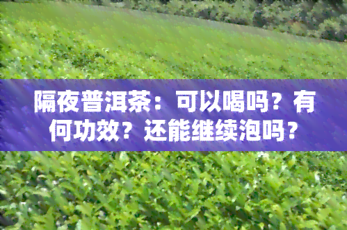 隔夜普洱茶：可以喝吗？有何功效？还能继续泡吗？