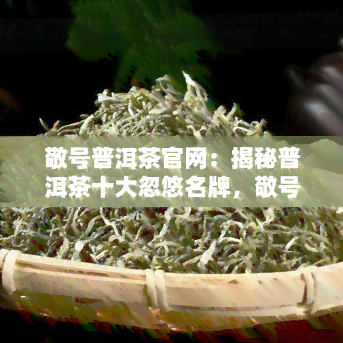 敬号普洱茶官网：揭秘普洱茶十大忽悠名牌，敬号普洱茶究竟如何？