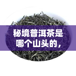 秘境普洱茶是哪个山头的，揭秘普洱茶珍品：秘境普洱茶究竟产自哪座山头？