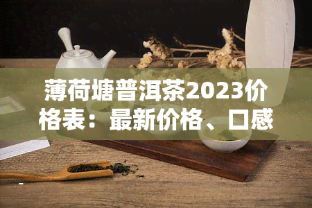 薄荷塘普洱茶2023价格表：最新价格、口感特点与所属茶山介绍