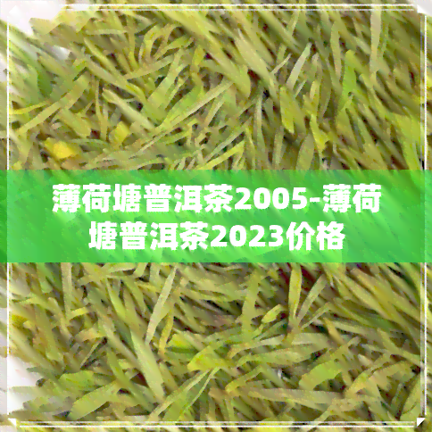 薄荷塘普洱茶2005-薄荷塘普洱茶2023价格