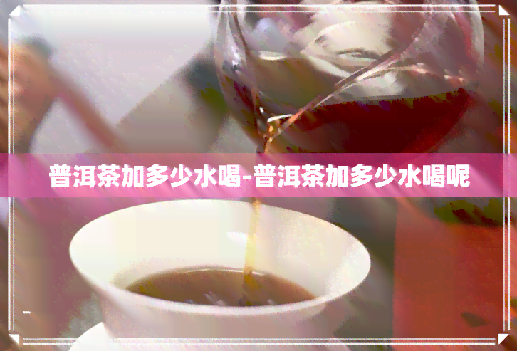 普洱茶加多少水喝-普洱茶加多少水喝呢