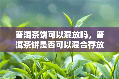 普洱茶饼可以混放吗，普洱茶饼是否可以混合存放？答案在这里！