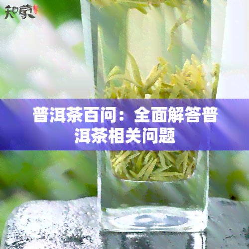 普洱茶百问：全面解答普洱茶相关问题