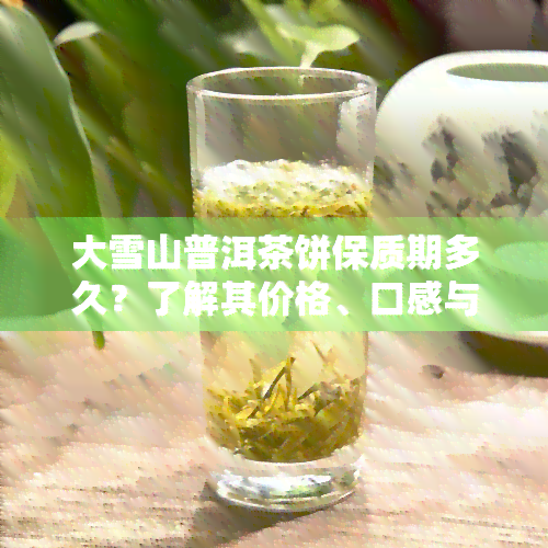 大雪山普洱茶饼保质期多久？了解其价格、口感与适合饮用的时间