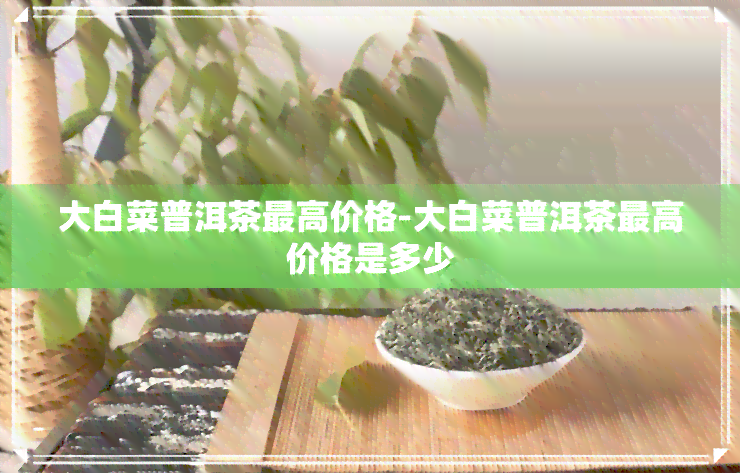 大白菜普洱茶更高价格-大白菜普洱茶更高价格是多少