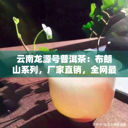 云南龙源号普洱茶：布朗山系列，厂家直销，全网更低价！