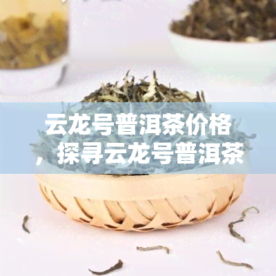 云龙号普洱茶价格，探寻云龙号普洱茶的价格：一次深入的市场调查