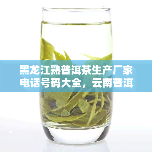 黑龙江熟普洱茶生产厂家电话号码大全，云南普洱茶厂家联系方式一览