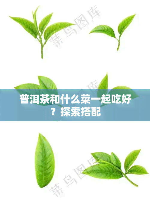 普洱茶和什么菜一起吃好？探索搭配