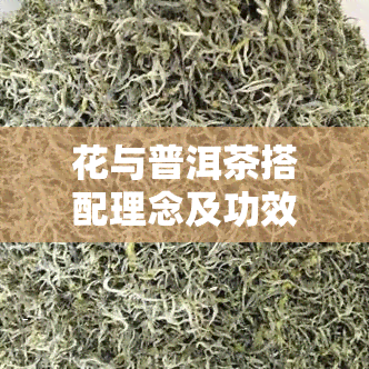 花与普洱茶搭配理念及功效探析