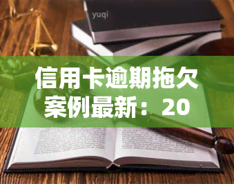 信用卡逾期拖欠案例最新：2021年立案及起诉标准全解析