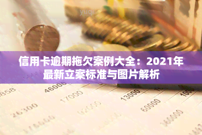 信用卡逾期拖欠案例大全：2021年最新立案标准与图片解析