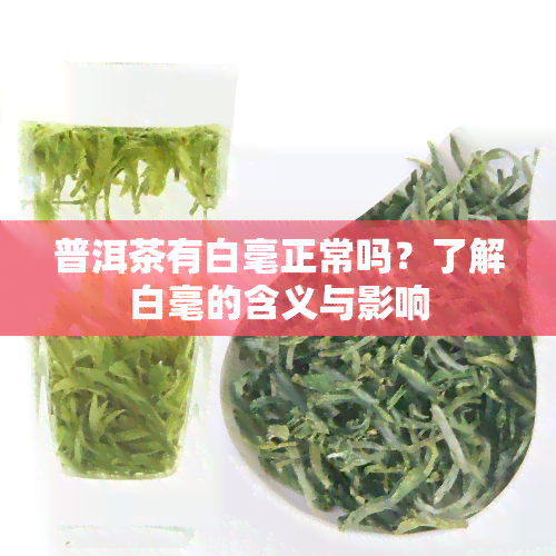 普洱茶有白毫正常吗？了解白毫的含义与影响