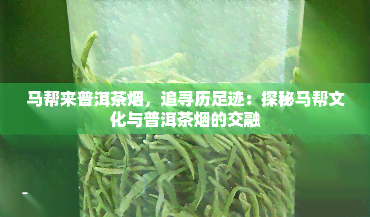 马帮来普洱茶，追寻历足迹：探秘马帮文化与普洱茶的交融