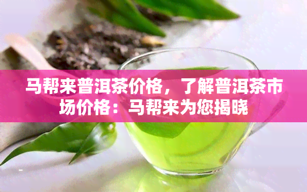 马帮来普洱茶价格，了解普洱茶市场价格：马帮来为您揭晓