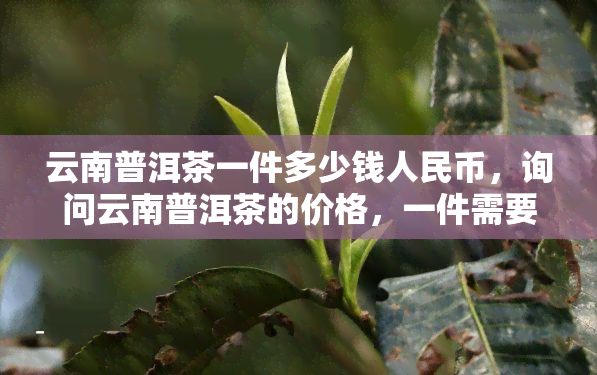 云南普洱茶一件多少钱人民币，询问云南普洱茶的价格，一件需要多少人民币？