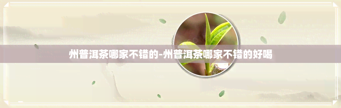 州普洱茶哪家不错的-州普洱茶哪家不错的好喝