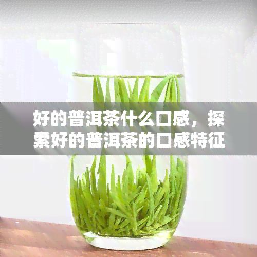 好的普洱茶什么口感，探索好的普洱茶的口感特征