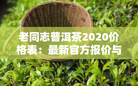 老同志普洱茶2020价格表：最新官方报价与系列介绍，口感特点解析