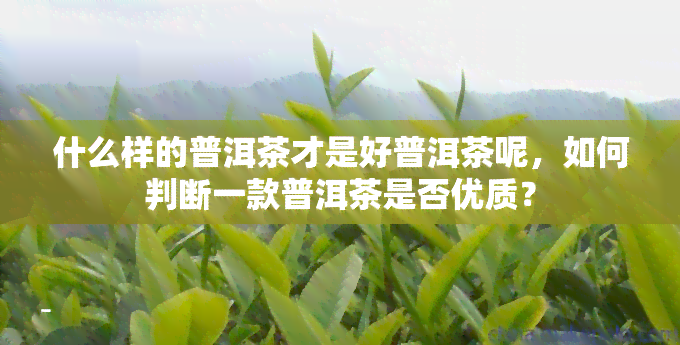 什么样的普洱茶才是好普洱茶呢，如何判断一款普洱茶是否优质？