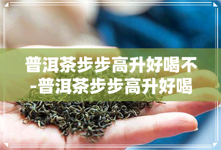 普洱茶步步高升好喝不-普洱茶步步高升好喝不