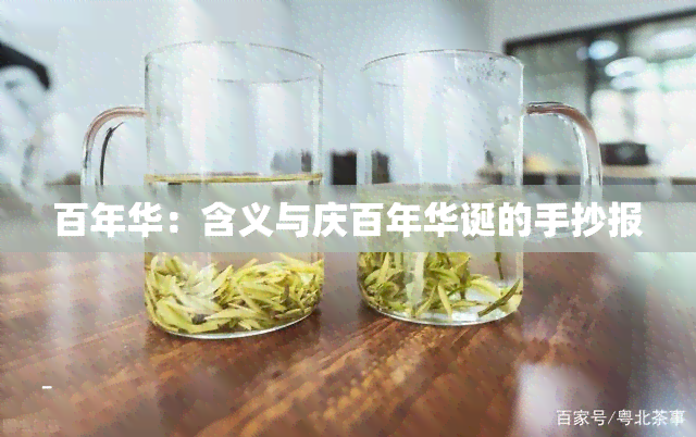 百年华：含义与庆百年华诞的手抄报