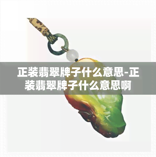 正装翡翠牌子什么意思-正装翡翠牌子什么意思啊